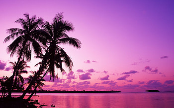 Tahiti , backgrounds, Exotic destination, Tropical paradise HD wallpaper