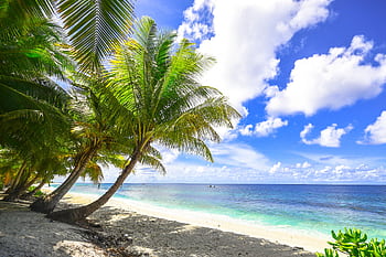 Serene ocean view with palm trees and clear skies at Fuvahmulah, Maldives. HD wallpaper