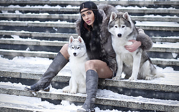 Girl with dogs, winter, snow, steps, dogs, girl HD wallpaper