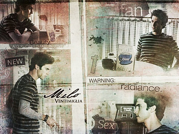 Jess Mariano/Milo Ventimiglia, jess mariano, gilmore girls, milo ventimiglia HD wallpaper