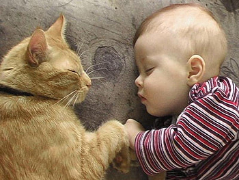 REAL TRUE FRIENDS SLEEPING, example, beautiful, adorable, friends HD wallpaper