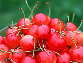 Cherries, fruit, red fruit, cherry HD wallpaper