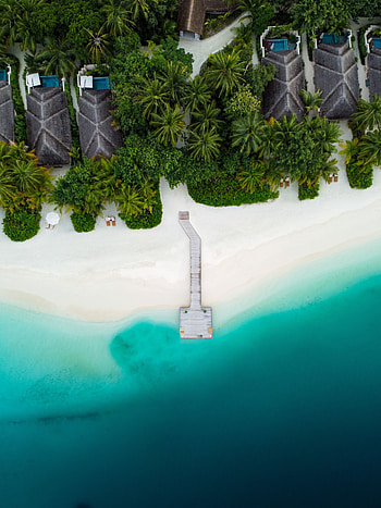 Nature, Beach, Palms, View From Above, Pier, Tropics HD phone wallpaper