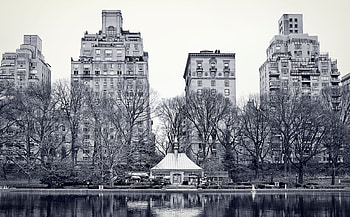 Cities, Trees, Building, Lake, New York, Central Park HD wallpaper