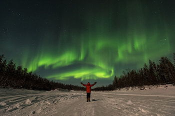 Hellooooo Aurora, nature, aurora, green, man HD wallpaper