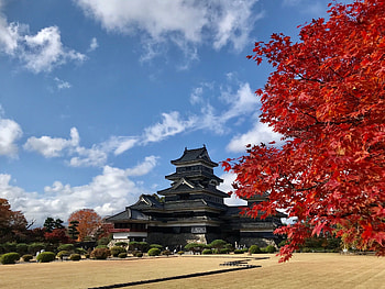 Matsumoto Castle, Detailed reviews, Discounted tickets, Nearby hotels HD wallpaper