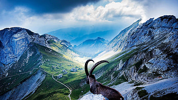 Pilatus Mountain, Switzerland HD wallpaper