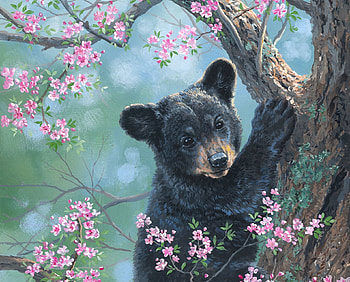 spring is in the air, bears, flowers, spring, animals HD wallpaper