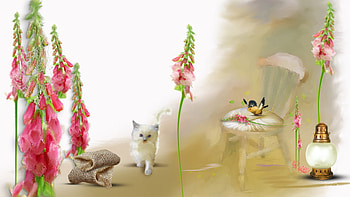 Summer Foxgloves, kitten, chair, bird, kitty, firefox persona, cat, spring, burlap, summer, foxgloves, flowers, lantern HD wallpaper