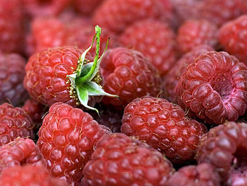 Food, Leaves, Raspberry, Berries, Ripe HD wallpaper