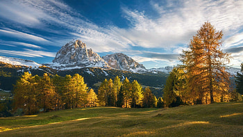 Autumn in the Austrian Alps, leaves, fall, clouds, landscape, trees, colors, sky, mountain, larches HD wallpaper