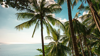 Thailand day, Private beach, Phuket island HD wallpaper