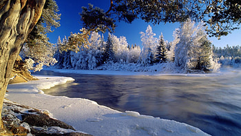 Winter For Backgrounds (76 ) – HD wallpaper