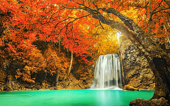 Autumn waterfall, background, Captivating beauty, Autumn wonders HD wallpaper