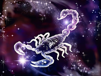 Zodiac ~ Scorpio, purple, zodiac, fantasy, stars, scorpio HD wallpaper