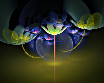 digital flowers, colorful, flowers, color HD wallpaper