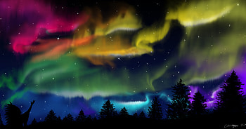 Northern Lights, forest, colorful, silhouette HD wallpaper