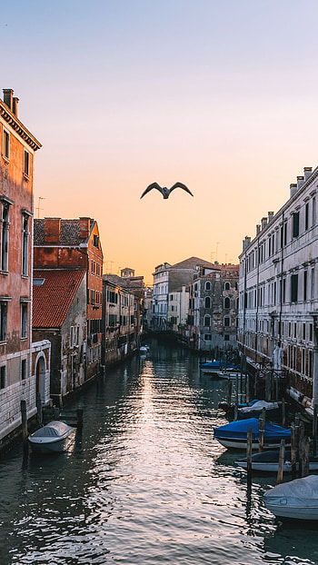 Venice's riverside, Majestic canals, Romantic atmosphere, Timeless beauty HD phone wallpaper