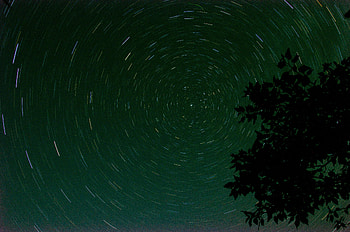 Nature, Stars, Starry Sky, Branch, Circle HD wallpaper