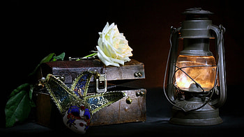 Remembering Your Love, rose, white, mask, theater, entertainment, lantern HD wallpaper