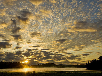 Nature, Sun, Horizon, Fog, Morning HD wallpaper