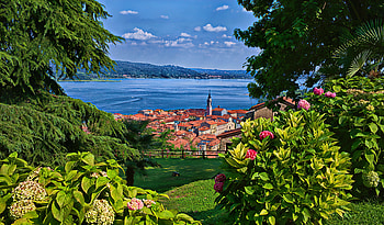 Lake Maggiore, summer, hydrangea, Lake, view, beautiful, flowers, grass, Italy HD wallpaper