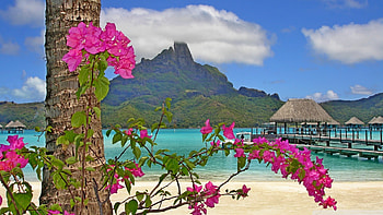 U, Bora Bora landscape, beauty, Tropical escape HD wallpaper
