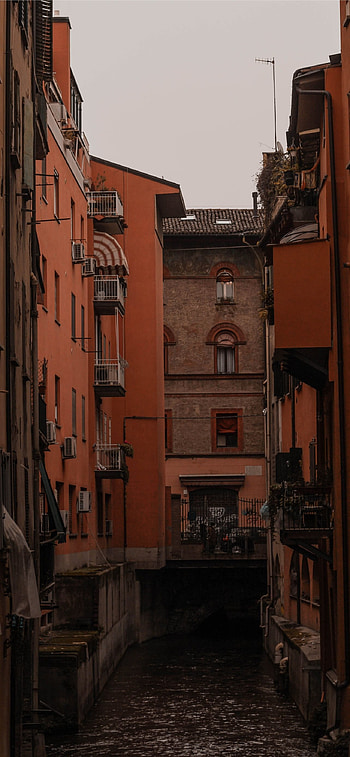 Medieval charm, Culinary delights, Hidden gems, Bologna travel HD phone wallpaper
