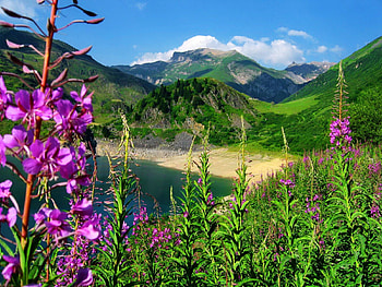 Mountainscape, crystal, peaks, bay, nice, shore, greenery, snowy, beautiful, grass, lake, mountain, emerald, pretty, green, view, nature, waters, sky, flowers, clear, lovely HD wallpaper