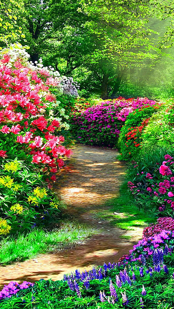 Garden wonders, Nature's paradise, Blooming flowers, Outdoor retreat HD phone wallpaper