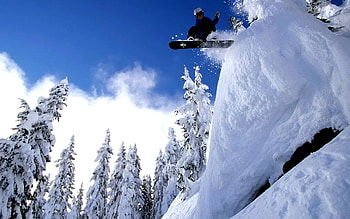 snowboarding, winter, slope, snow, tree HD wallpaper