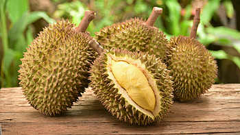 Durian fruit , High-resolution , Food graphy, Appetizing HD wallpaper