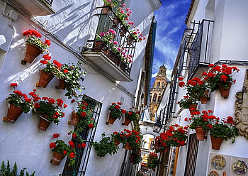 Little Spanish street, spain, flower boxes, green leaves, red, flowers, church steeple, white buildings HD wallpaper