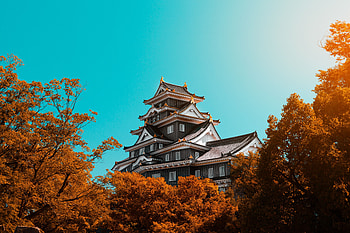 Trees, Autumn, Architecture, Building, Miscellanea, Miscellaneous, Pagoda HD wallpaper