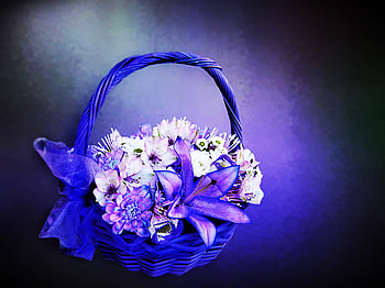 Blue, basket, nature, flowers HD wallpaper