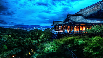 House In Nature, house, nature HD wallpaper