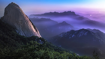 Forest Mist Trees , forest, trees, sky, mountains, nature HD wallpaper