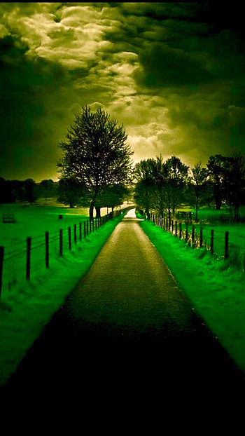 Beautiful For, Green Garden HD phone wallpaper