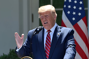 Donald Trump, MAGA HD wallpaper