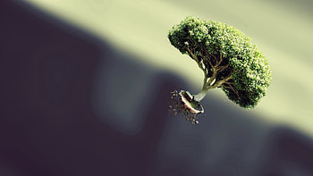 Abstract, Fantasy, Plant, Wood, Tree, Form, Flight HD wallpaper