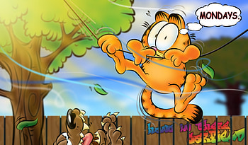 I HATE ..., cartoon, comic, cat, garfield, funny HD wallpaper