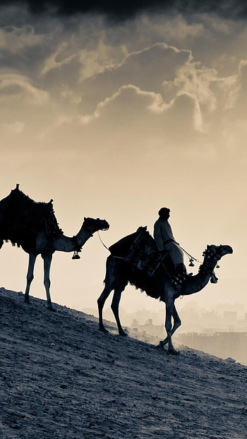 Arabian people, Xperia x , , Cultural heritage HD phone wallpaper