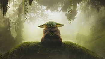 Mandalorian & Grogu — | Grogu's Forest Vigil — The Mandalorian, The Mandalorian & Grogu, Grogu (Star Wars) HD wallpaper