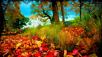 Nature 3D HD wallpaper
