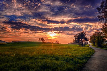 Splendor, rays, ally, sunlight, walk, road, sunset, landscape, tres, grass, sunrays, green, street, clouds, nature, sky, evening HD wallpaper