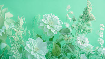 Mint Green Floral Delight - Ultra, flower, mint green, green, botanical, nature HD wallpaper