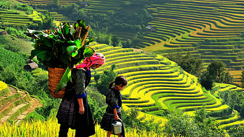 Mother and daughter, Serene stroll, -perfect, Breathtaking vista HD wallpaper