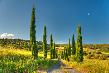 Tuscany country house, Villa and cottage charm, Scenic beauty, Rustic ambiance HD wallpaper