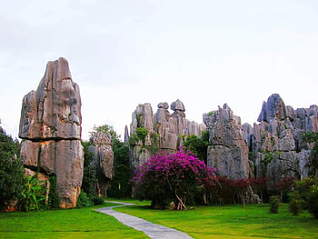 Rocks in Garden, cool HD wallpaper