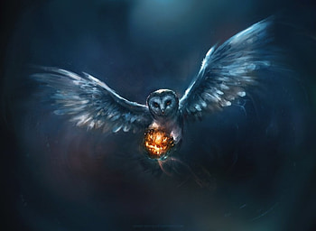 bird, fantasy, art, owl HD wallpaper